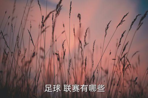 足球聯(lián)賽哪個(gè)最少,中國足協(xié)國內(nèi)四級聯(lián)賽介紹到此結(jié)束