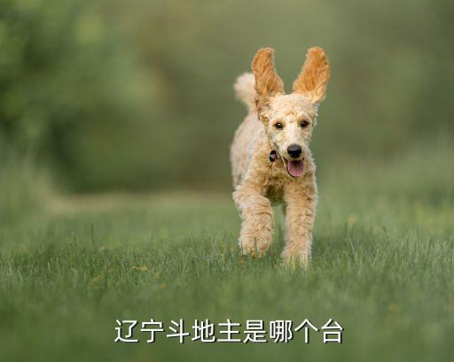  遼寧斗地主是哪個臺