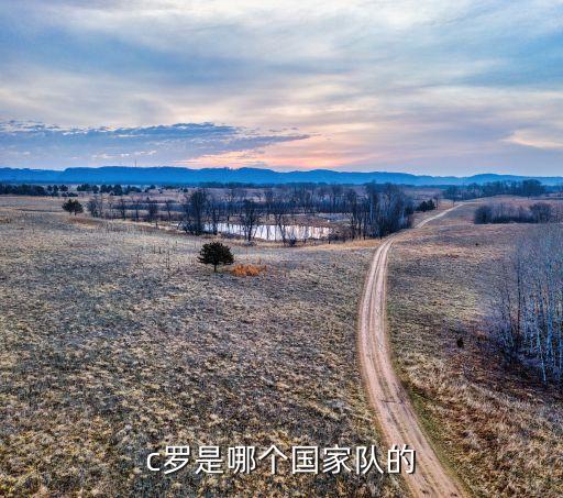 歐冠直播C羅哪個隊,c羅轉(zhuǎn)會尤文圖斯還獲得歐洲杯銅牌