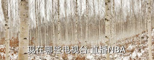 黑龍江哪個臺直播nba,電視臺直播或與其他電臺不同