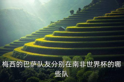 梅西的巴薩隊(duì)友分別在南非世界杯的哪些隊(duì)
