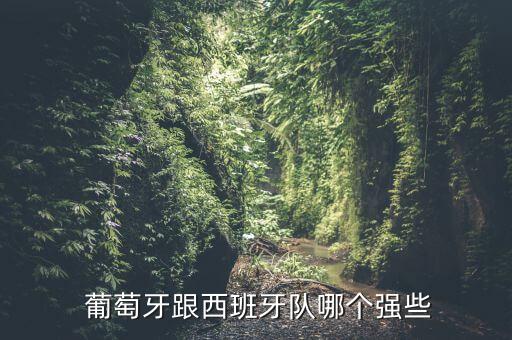  葡萄牙跟西班牙隊(duì)哪個強(qiáng)些