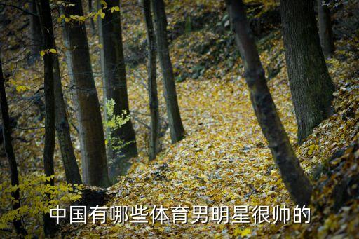 中國(guó)有哪些體育男明星很帥的