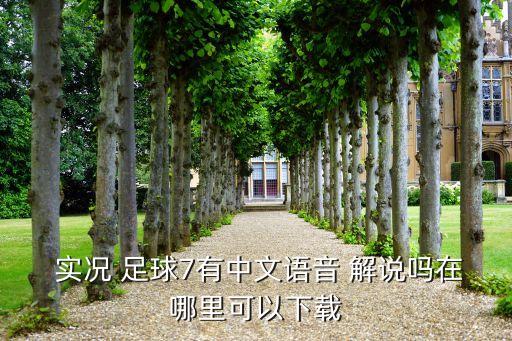  實(shí)況 足球7有中文語音 解說嗎在哪里可以下載