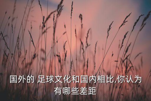 國外的 足球文化和國內(nèi)相比,你認為有哪些差距