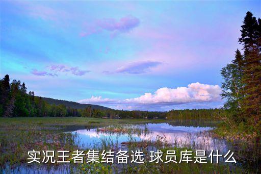  實況王者集結(jié)備選 球員庫是什么