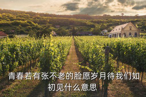  青春若有張不老的臉愿歲月待我們?nèi)绯跻?jiàn)什么意思
