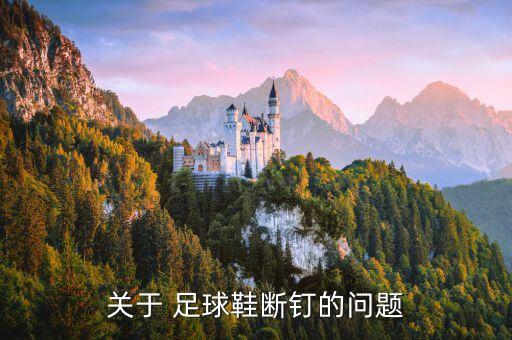 關(guān)于 足球鞋斷釘?shù)膯?wèn)題